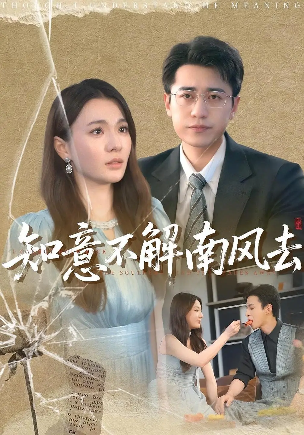 《知意不解南风去》：一场关于爱与遗忘的深刻探讨，揭示家庭羁绊与人生选择的动人篇章