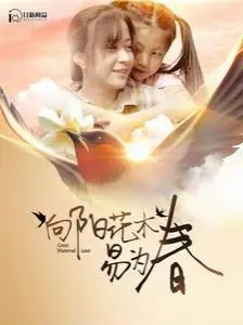 《向阳花木易为春》：温暖治愈的家庭新篇章，笑泪交织的亲情喜剧盛宴